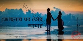 জোছনায় ঘর তোর আমার